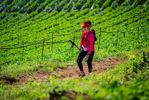 BIB: 
                            <button type="button" onclick="openModal(19163007)" class="btn btn-primary btn-sm float-right btn-popup" data-toggle="modal" data-target=".modal-high-quality">
                        <i class="fas fa-shopping-cart"></i> Add to Cart
                    </button>
                                            <button type="button" onclick="isThisMe(19163007, true)" class="btn btn-success btn-sm float-right btn-popup btn-isme hidden" data-toggle="tooltip" data-placement="bottom" title="นี่คือรูปของคุณใช่ไหม คลิกที่นี่เพื่อเอาเข้าอัลบั้ม">
                        <i class="fas fa-plus"></i> Add to album
                    </button>
                    <button type="button" onclick="isThisMe(19163007, false)" class="btn btn-warning btn-sm float-right btn-popup btn-isnotme hidden">
                        <i class="fas fa-ban"></i> Remove from album
                    </button>